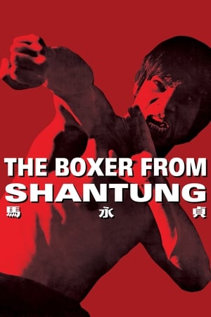 Boxer from Shantung (1972) Dual Audio | Dubbed Hindi Movie BluRay 400MB