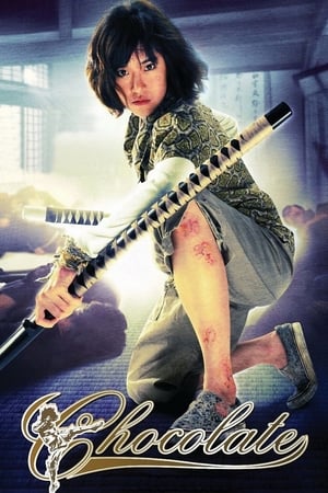 Chocolate (2008) Dual Audio | Dubbed Hindi Movie BluRay 300MB