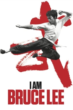 I Am Bruce Lee 2012 Dual Audio Bluray | Dubbed Hindi Movie [850MB] Download