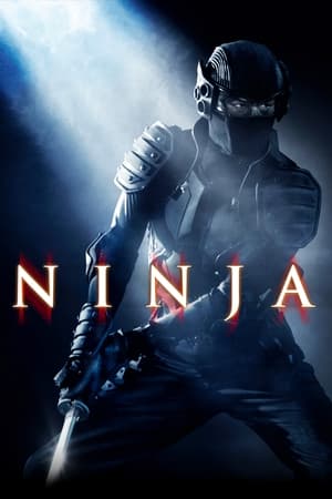 Ninja (2009) Dual Audio HDRip | Dubbed Hindi Movie – 480p