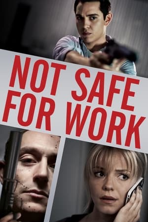Not Safe for Work (2014) Dual Audio | Dubbed Hindi Movie BluRay 250MB