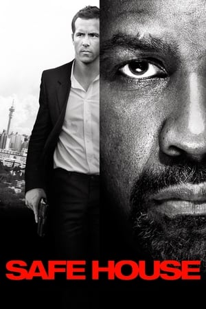 Safe House (2012) Dual Audio | Dubbed Hindi Movie BluRay [1GB]