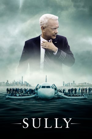 Sully (2016) (Unofficial Dubbed) Dual Audio BluRay [ | Dubbed Hindi Movie] [720p]