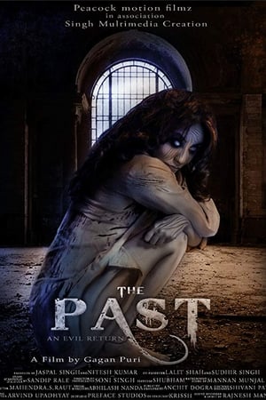 The Past 2018 Movie | Dubbed Hindi Movie HDRip - [350MB]