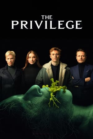 The Privilege (2022) Dual Audio HDRip | Dubbed Hindi Movie – 480p