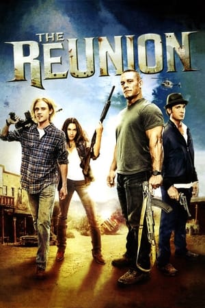 The Reunion (2011) Dual Audio | Dubbed Hindi Movie HDRip 300MB